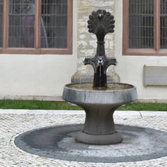 Pfau ©Gerald Kaufmann